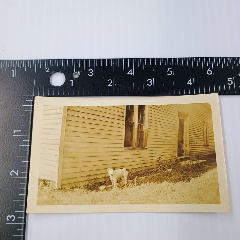Vintage Snapshot Photograph 1930s Dog House Rural Americana